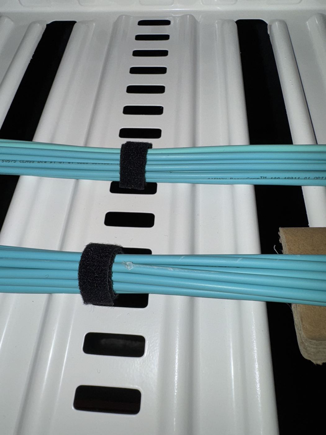 Cat6 Data Points by Daxon Electrical